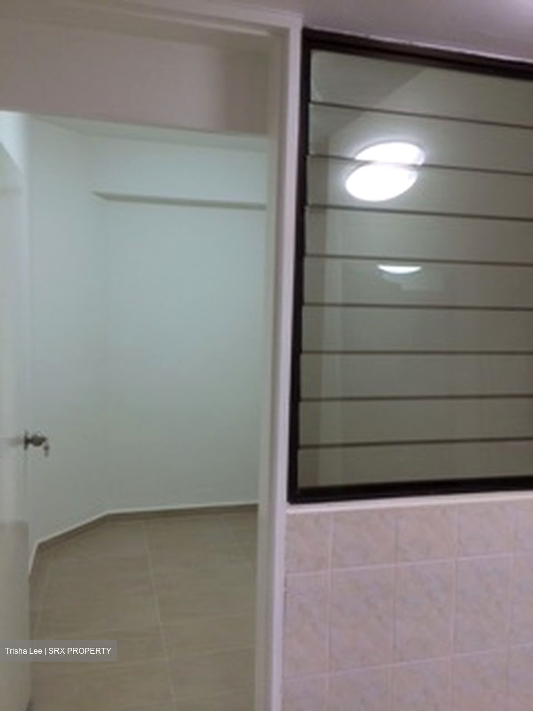 Sommerville Park (D10), Condominium #572693301